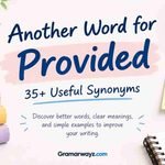 Another Word For Provided